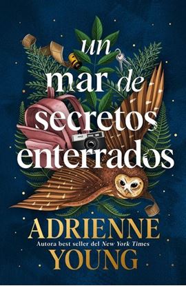 Imagen de UN MAR DE SECRETOS ENTERRADOS