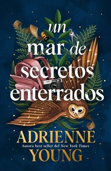 Imagen de UN MAR DE SECRETOS ENTERRADOS