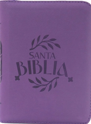 Imagen de BIBLIA RVR 1960  UVA CON CIERRE