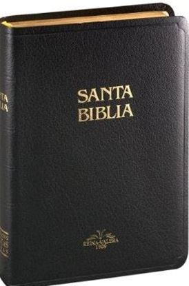 Imagen de BIBLIA RV 1909 MEDIANA IMIT. PIEL NEGRO