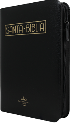Imagen de BIBLIA RV 1960 IMITACION PIEL NEGRO