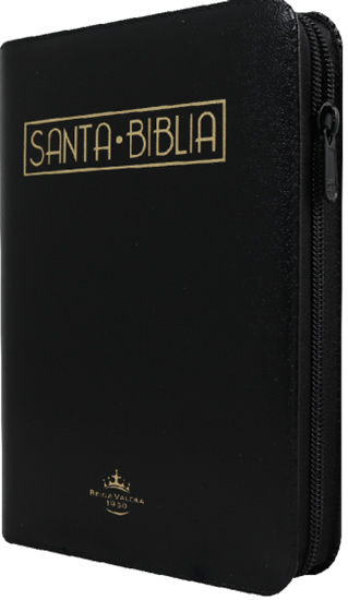 Imagen de BIBLIA RV 1960 IMITACION PIEL NEGRO
