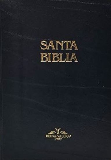 Imagen de SANTA BIBLIA REINA VALERA 1909 (VINIL)