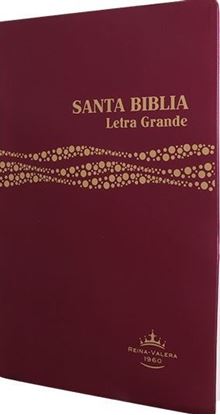 Imagen de BIBLIA REINA VALERA 1960 LG VINIL VINO