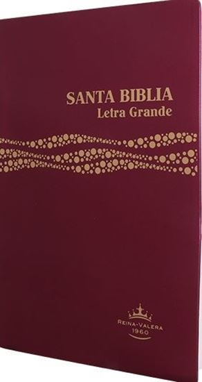 Imagen de BIBLIA REINA VALERA 1960 LG VINIL VINO