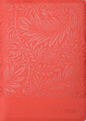 Imagen de SANTA BIBLIA INDICE ROJO CANTO PLATEADO