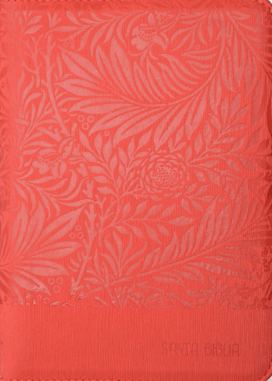 Imagen de SANTA BIBLIA INDICE ROJO CANTO PLATEADO