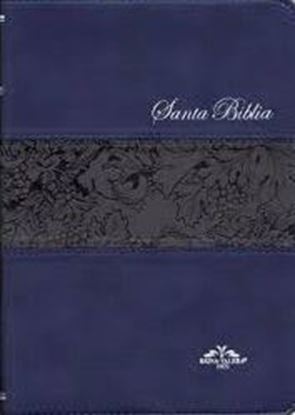 Imagen de BIBLIA REINA VALERA 1909  IMITACION PIEL