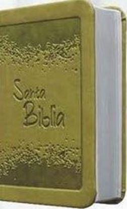 Imagen de BIBLIA RV VERDE CANTO PLATEADO