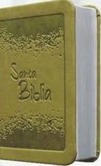 Imagen de BIBLIA RV VERDE CANTO PLATEADO