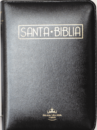 Imagen de BIBLIA RV PJR CON NEGRA CANTO DORADO