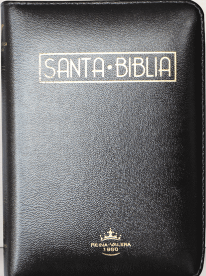 Imagen de BIBLIA RV PJR CON NEGRA CANTO DORADO