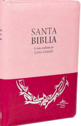 Imagen de BIBLIA RV 1960 LG IMIT. PIEL ROSA DUOTON