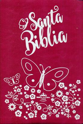 Imagen de SANTA BIBLIA CON CONC. BREVE, LG Y PJR