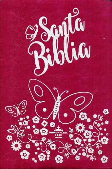 Imagen de SANTA BIBLIA CON CONC. BREVE, LG Y PJR