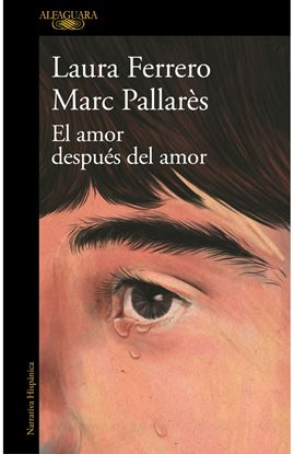 Imagen de EL AMOR DESPUES DEL AMOR