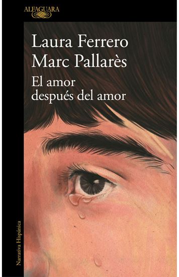Imagen de EL AMOR DESPUES DEL AMOR