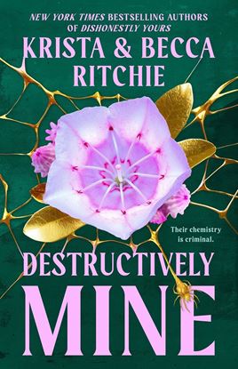 Imagen de DESTRUCTIVELY MINE  (WEBS 2)