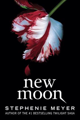 Imagen de NEW MOON  (PB)