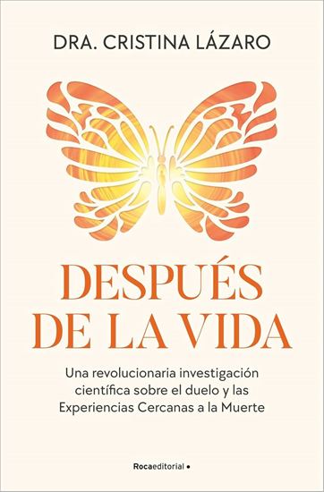 Imagen de DESPUES DE LA VIDA