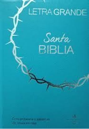 Imagen de SANTA BIBLIA RVR LG. CANTO GRIS(TURQUESA