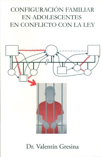 Imagen de CONFIGURACION FAMILIAR EN ADOLESCENTES
