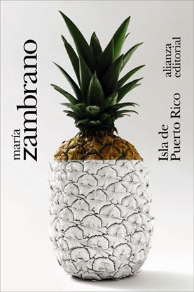 Imagen de ISLA DE PUERTO RICO