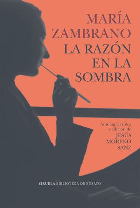 Imagen de LA RAZON DE LA SOMBRA