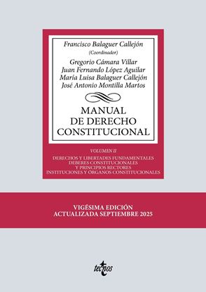 Imagen de MANUAL DE DERECHO CONSTITUCIONAL