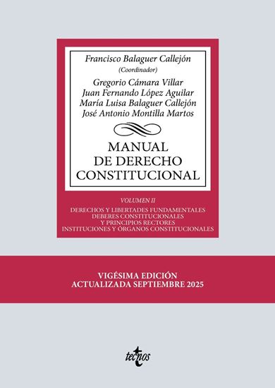 Imagen de MANUAL DE DERECHO CONSTITUCIONAL