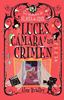 Imagen de LUCES, CAMARA Y UN CRIMEN (COZY MISTERY)