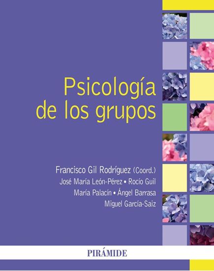 Imagen de PSICOLOGIA DE LOS GRUPOS