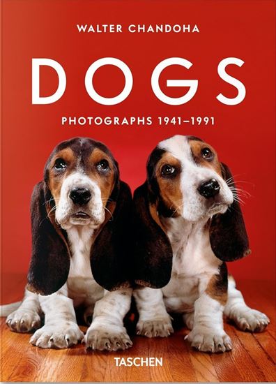 Imagen de WALTER CHANDOHA DOGS PHOTOGRAPHS
