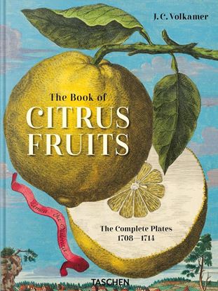 Imagen de J.C. VOLKAMER. THE BOOK OF CITRUS FRUITS