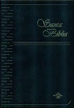 Imagen de SANTA BIBLIA MED. RV NEGRA VINIL C/CONC.