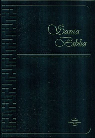 Imagen de SANTA BIBLIA MED. RV NEGRA VINIL C/CONC.