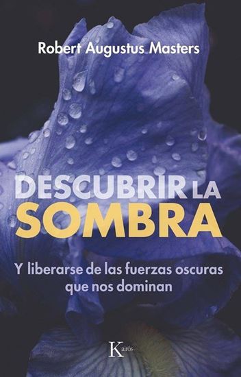 Imagen de DESCUBRIR LA SOMBRA