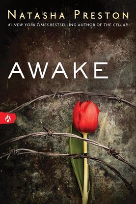 Imagen de AWAKE
