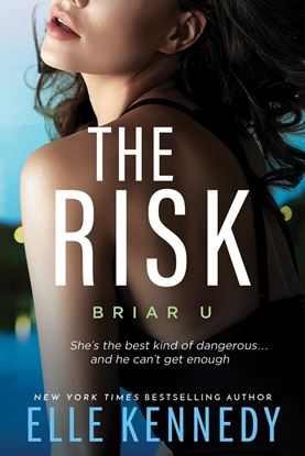Imagen de THE RISK