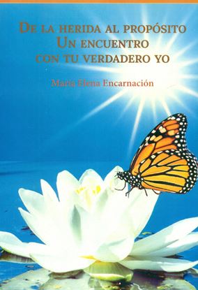 Imagen de DE LA HERIDA AL PROPOSITO UN ENCUENTRO