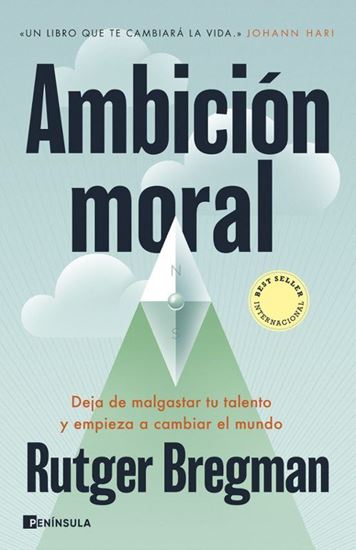 Imagen de AMBICION MORAL