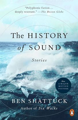 Imagen de THE HISTORY OF SOUND (PB)