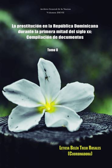Imagen de LA PROSTITUCION EN LA REP. DOM. TOMO II