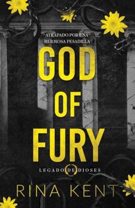 Imagen de GOD OF FURY (LEGADO DE DIOSES 5)