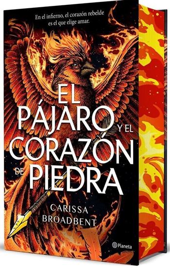 Imagen de EL PAJARO Y CORAZON DE PIEDRA (1)(DELUX)