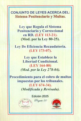 Imagen de CONJ. DE LEYES SIST. PENIT. Y MULTAS (LE