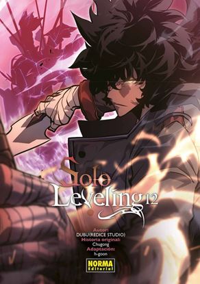 Imagen de SOLO LEVELING 12