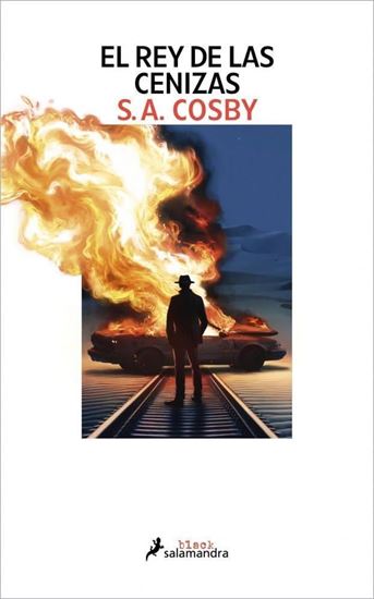 Imagen de EL REY DE LAS CENIZAS