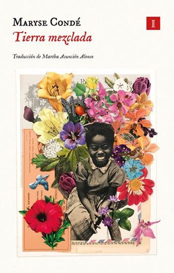 Imagen de TIERRA MEZCLADA