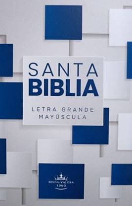 Imagen de SANTA BIBLIA RV 1960 TD AZUL LG